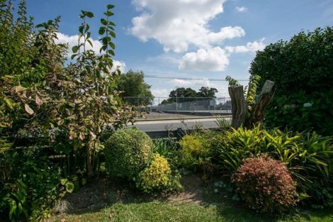 Photo of property in 20 Tennyson Street, Leamington, Cambridge, 3432