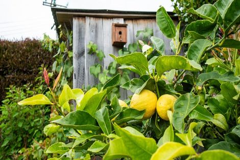 Photo of property in 29 Te Papau Crescent, Diamond Harbour, 8972