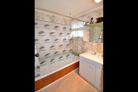 Photo of property in 171 Ashmore Street, Halfway Bush, Dunedin, 9010