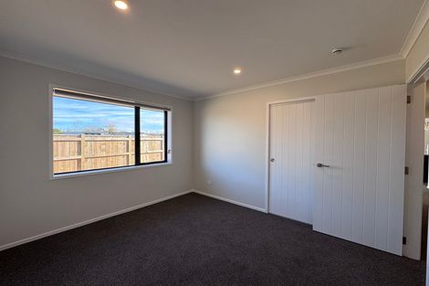 Photo of property in 119b Churcher Street, Feilding, 4702