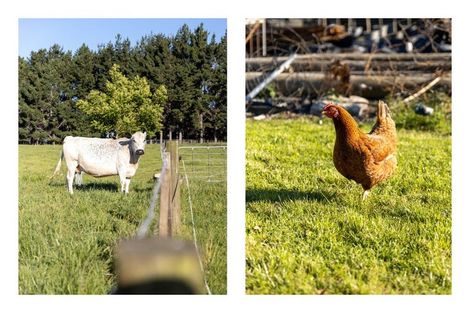 Photo of property in 347d Pyes Pa Road, Pyes Pa, Tauranga, 3173