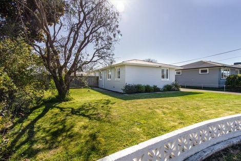 Photo of property in 233 Lumsden Place, Akina, Hastings, 4122