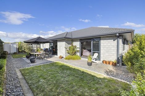 Photo of property in 61 Hastings Road, Pyes Pa, Tauranga, 3112