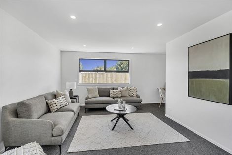 Photo of property in 29 Collisson Street, Leeston, 7632