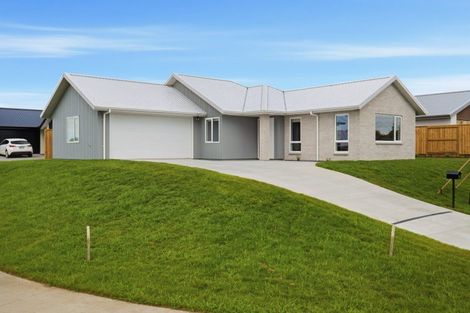Photo of property in 12 Buxton Crescent, Matamata, 3400