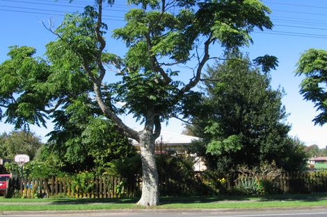 Photo of property in 80 Arapuni Street, Putaruru, 3411