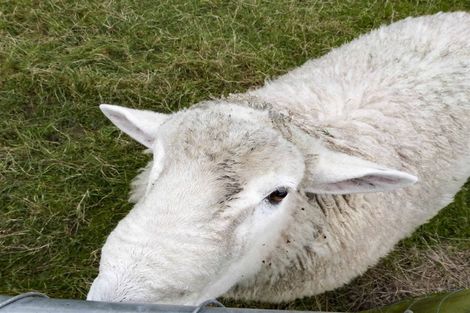 Photo of property in 22 Saville Row, Waihopai, Invercargill, 9872