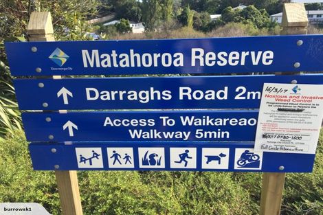 Photo of property in 20 Te Koari Drive, Brookfield, Tauranga, 3110