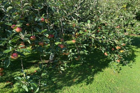 Photo of property in 49 Vista Road, Ohau, Levin, 5570