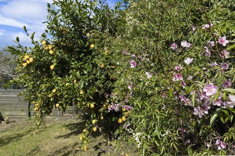 Photo of property in 19 Russell Road, Huntly, 3700