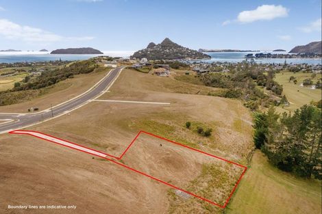 Photo of property in 49 Azimuth Road, Tairua, 3508