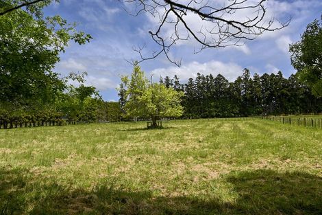 Photo of property in 230 Taupaki Road, Taupaki, Henderson, 0782