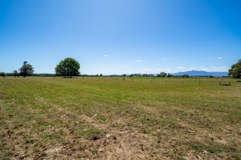 Photo of property in 124 Horrell Road, Morrinsville, 3374