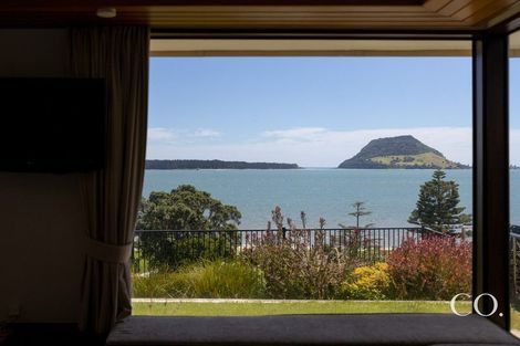 Photo of property in 9 Aylesbury Terrace, Otumoetai, Tauranga, 3110