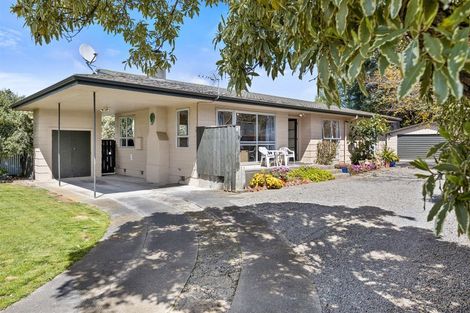 Photo of property in 43 Margaret Street, Solway, Masterton, 5810