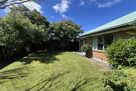 Photo of property in 103a Middlepark Road, Sockburn, Christchurch, 8042