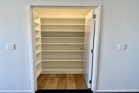 Photo of property in 55 Bonecrusher Street, Lincoln, 7608