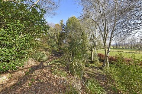 Photo of property in 1670 Cust Road, Cust, Rangiora, 7471