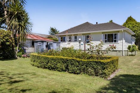 Photo of property in 114 Brecon Road, Stratford, 4332