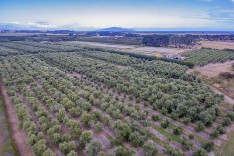 Photo of property in 22 Lethbridge Street, Feilding, 4702