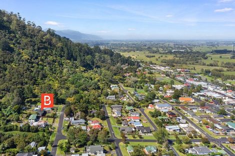 Photo of property in 8 Puriri Street, Te Aroha, 3320