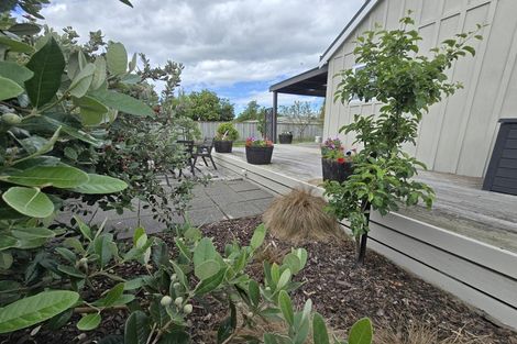 Photo of property in 69a Dublin Street, Martinborough, 5711