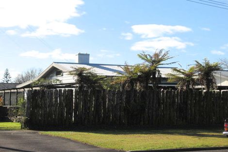 Photo of property in 107 Albert Street, Hamilton East, Hamilton, 3216