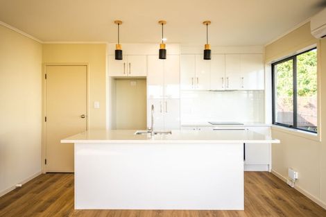 Photo of property in 2/2 Frost Road, Mount Roskill, Auckland, 1041