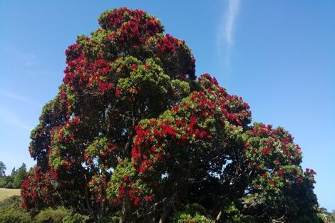 Photo of property in 80 Riverview Road, Kerikeri, 0230