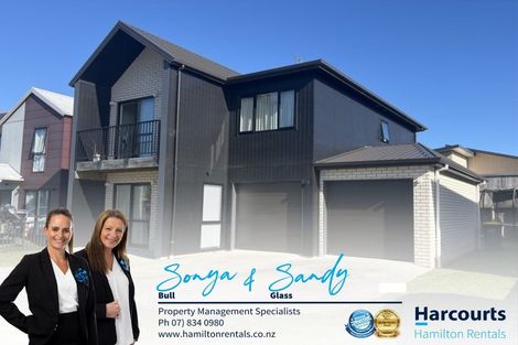 Photo of property in 45 Tennille Street, Flagstaff, Hamilton, 3210