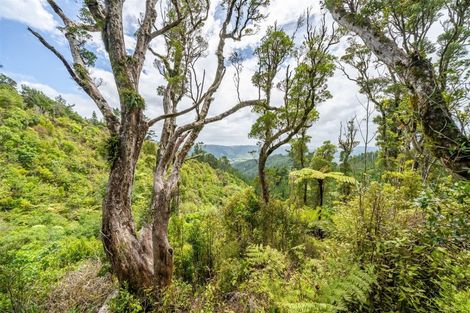 Photo of property in 70 Avro Road, Blue Mountains, Upper Hutt, 5371