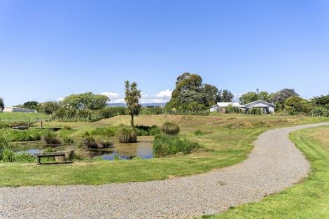 Photo of property in 151 Swamp Road, Te Horo, Otaki, 5581