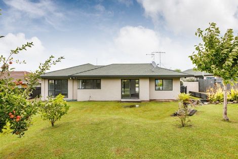 Photo of property in 25 Vista Drive, Feilding, 4702