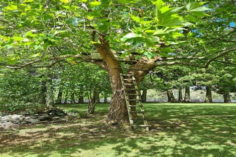 Photo of property in 347 Horseshoe Bush Road, Dairy Flat, Albany, 0794