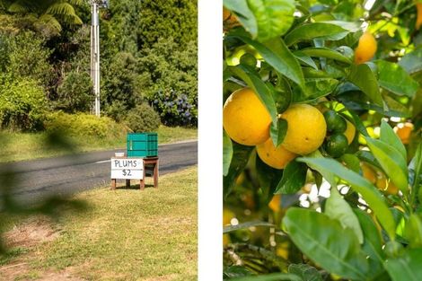 Photo of property in 928 Omanawa Road, Omanawa, Tauranga, 3171