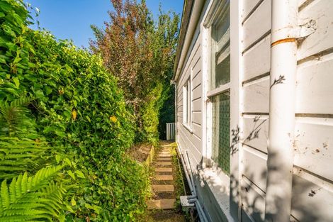 Photo of property in 12 Montrose Street, North East Valley, Dunedin, 9010