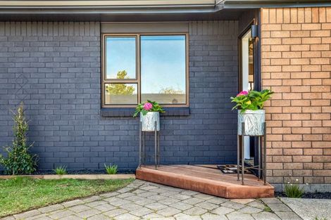 Photo of property in 207b Ngatai Road, Otumoetai, Tauranga, 3110