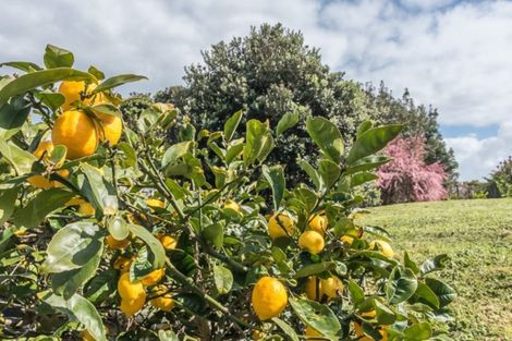 Photo of property in 5 Freyberg Crescent, Waikanae Beach, Waikanae, 5036