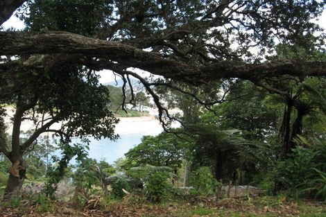 Photo of property in 9 Tairua Terrace, Tairua, 3508