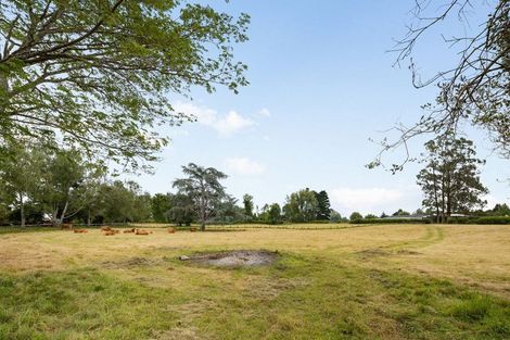 Photo of property in 330a Pencarrow Road, Tamahere, Hamilton, 3283