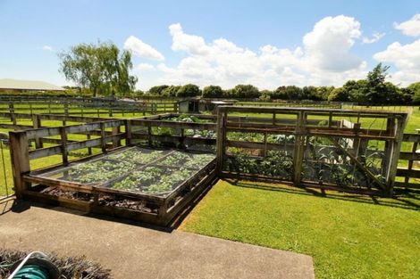 Photo of property in 4 Pukematawai Lane, Levin, 5571