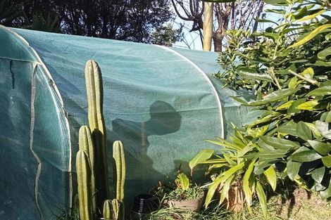 Photo of property in 40 Judea Road, Judea, Tauranga, 3110