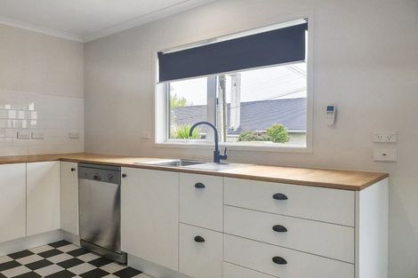 Photo of property in 55 Carey Street, Maeroa, Hamilton, 3200