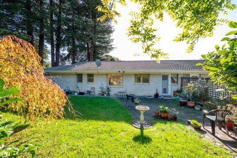 Photo of property in 9a Galbraith Street, Springfield, Rotorua, 3015