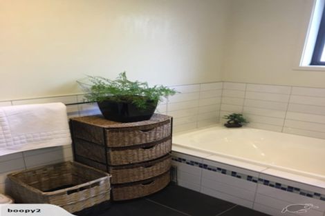 Photo of property in 59a Warwick Street, Mayfield, Blenheim, 7201