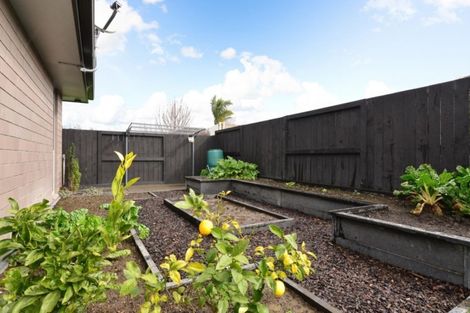 Photo of property in 49 Meadowfield Street, Flagstaff, Hamilton, 3210