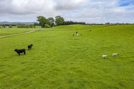 Photo of property in 266 Rangiora Leithfield Road, Sefton, 7477