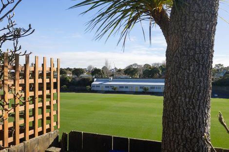 Photo of property in 43 Frederick Street, Terrace End, Palmerston North, 4410