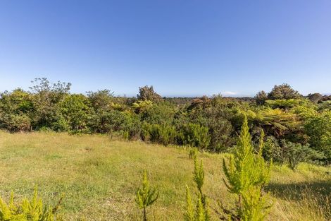 Photo of property in 3 Middle Paddock, Blue Spur, Hokitika, 7882