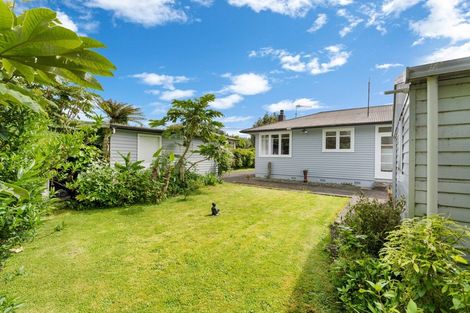 Photo of property in 45 Tararua Street, Pahiatua, 4910